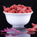 Factory price Berry Plants Goji Berry Seeds Organic Goji Berries